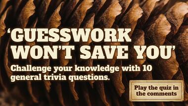 10-question quiz packed with fun facts