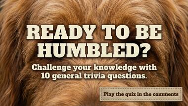 10-question brain teaser challenge