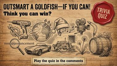 10-question trivia challenge